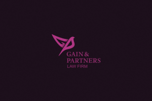 GAIN & PARTNERS
