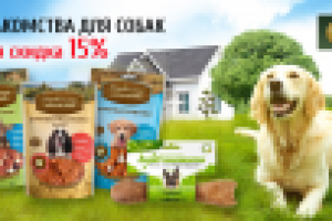 Баннер для зоомагазина