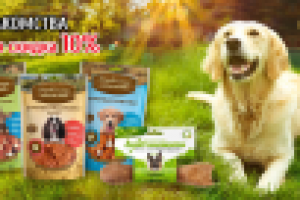 Баннер для зоомагазина