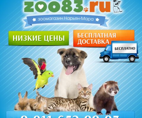 img3296589.png