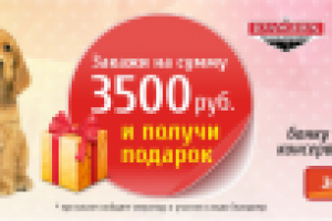 Баннер для зоомагазина