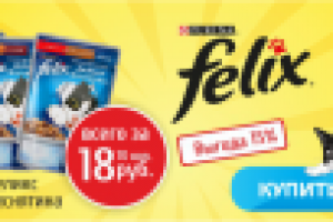 Баннер для зоомагазина