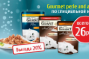 Баннер для зоомагазина