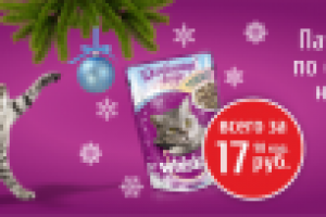 Баннер для зоомагазина