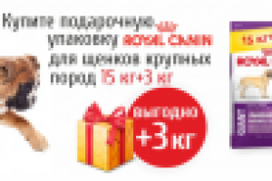 Баннер для зоомагазина