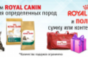 Баннер для зоомагазина