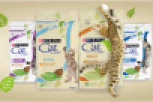 Баннер для зоомагазина