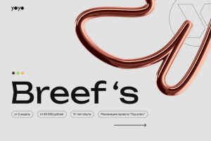 Брифы для постановки задачи