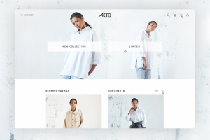 Дизайн интернет-магазина akto.steeleggs.ru