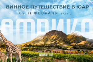 Винный тур в Африку