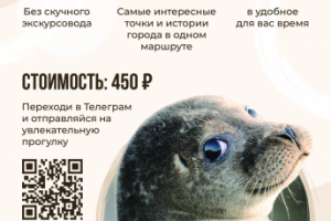 Экскурсионный баннер