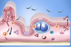 Иллюстрации действия препарата 1