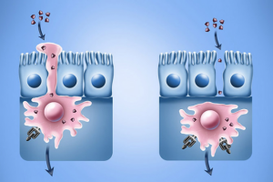 Иллюстрации действия препарата 2