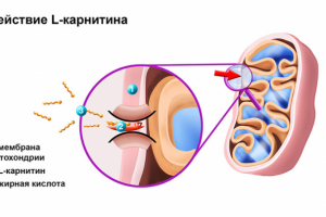 Иллюстрации действия препарата 4