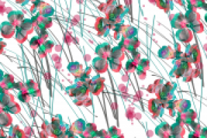 Принт Цветы