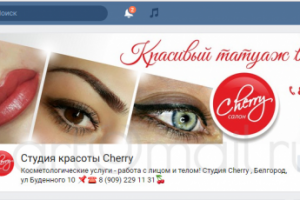 Работа 3161904