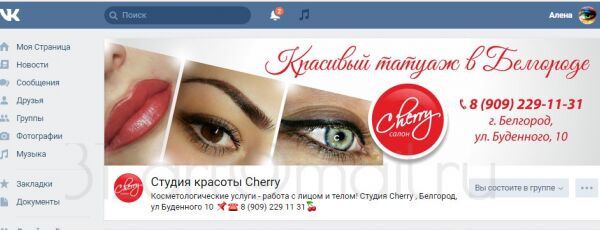 img3161904.png