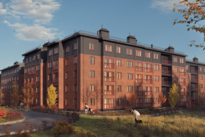 Осень в Замитино