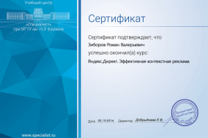 Яндекс. Директ. Эффективная контекстная реклама