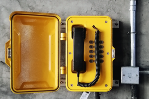 Termit Public Phone. Презентация