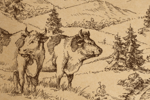 Фермерское мясо. Крафт-упаковка.