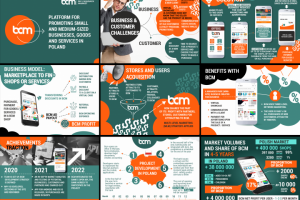 Презентация  bcm