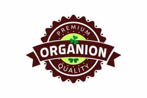 Нейминг+Лого Organion