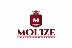 Нейминг+лого MOLIZE Реализовано