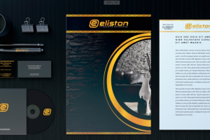 Нейминг+Лого Eliston