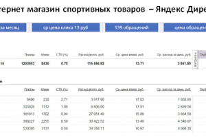 Магазин спортивных товаров - Яндекс Директ