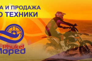 Работа 3361081