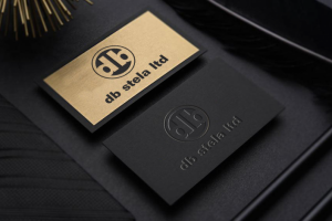 Логотип для израильской строительной компании "db stela ltd"