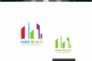 Логотип - агенство недвижимости "NORD REALTY"