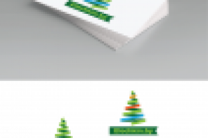 Логотип для магазина новогодних ёлок - "Elochkin.by