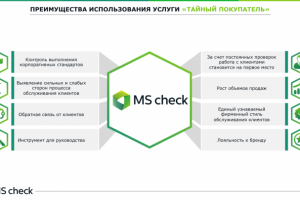 Презентация для компании "Ms check"