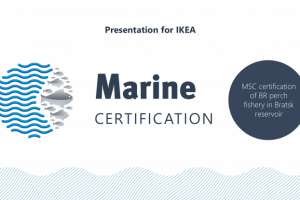 Презентация для выступления "Marine Certification"