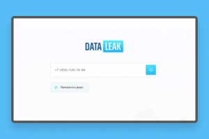 Data Leak