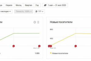 Рост количества новых посетителей на сайте