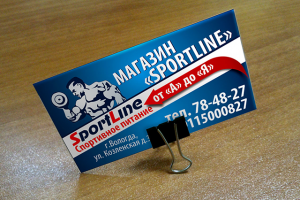 Работа 2510498