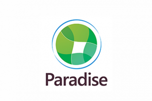 Разработка логотипа для авто компании