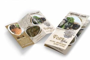 евробук дял музея