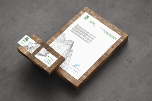 разработка брендбука (визитка + бланк)