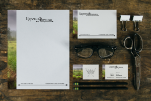 Разработка лого и фир. стиля с небольшим описанием брендбука