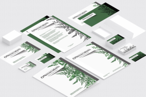 разработка фир. стиля для фирме органической косметики