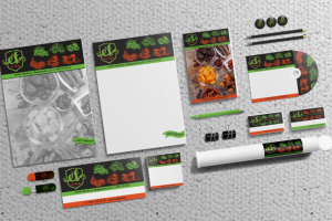 разработка логотипа и фир. стиля для ЭКОпродукции