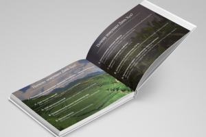 Презентация КП чай Дьян Хун