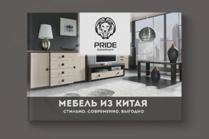 Маркетинг кит Pride company Мебель из Китая