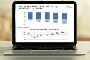 Презентация для инвесторов Вторесурсы