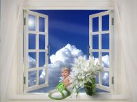 img1000702.png