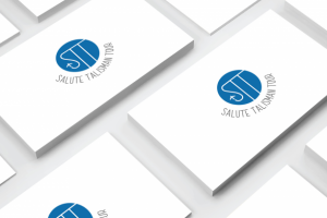 Разработка логотипа для туристической компании STT